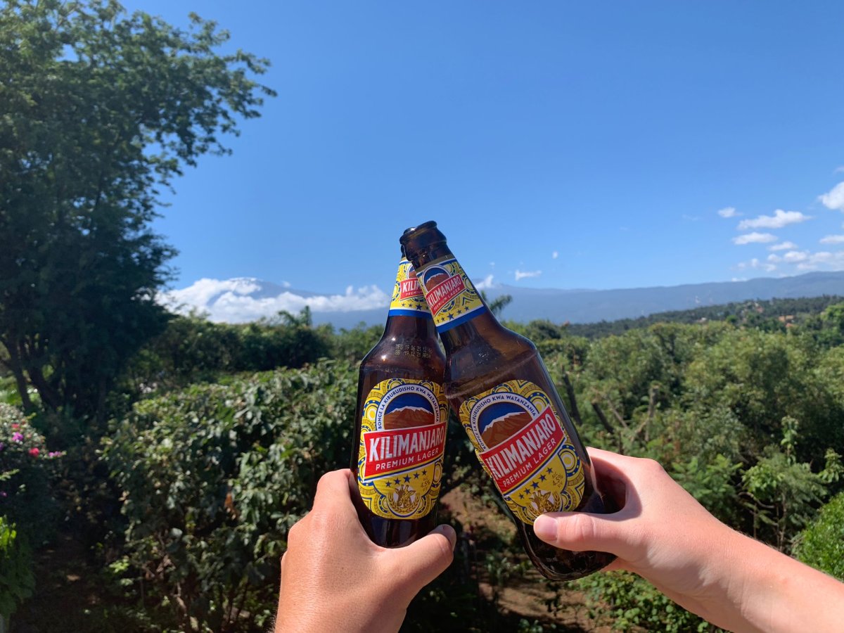 Kilimanjaro Premium