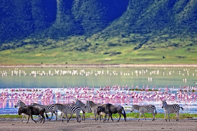 Ngorongoro Crater Day Trip